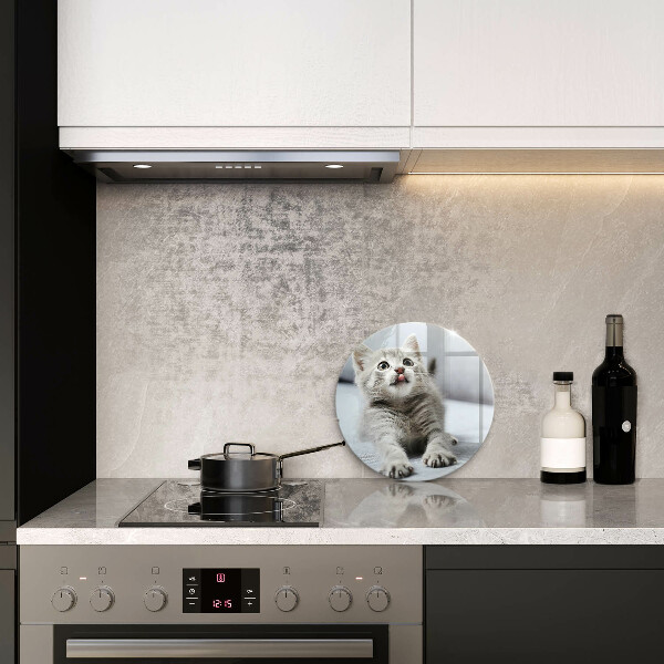 Protection plaque induction Petit chaton mignon