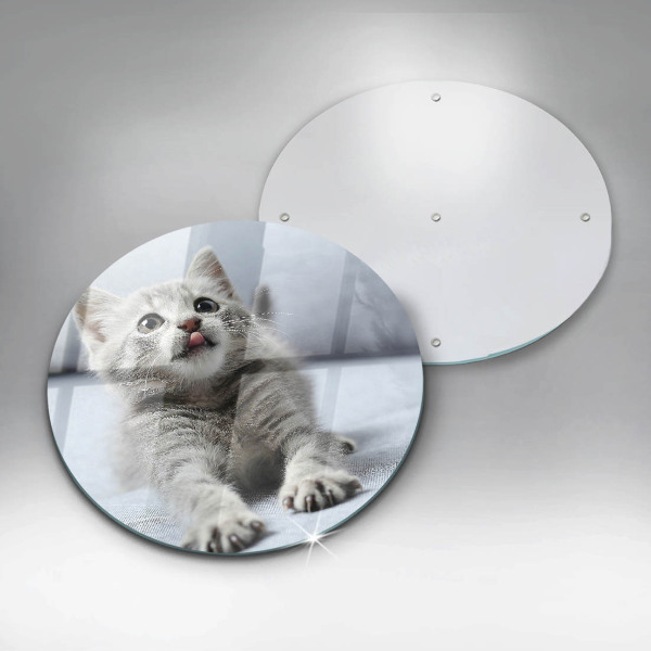 Protection plaque induction Petit chaton mignon