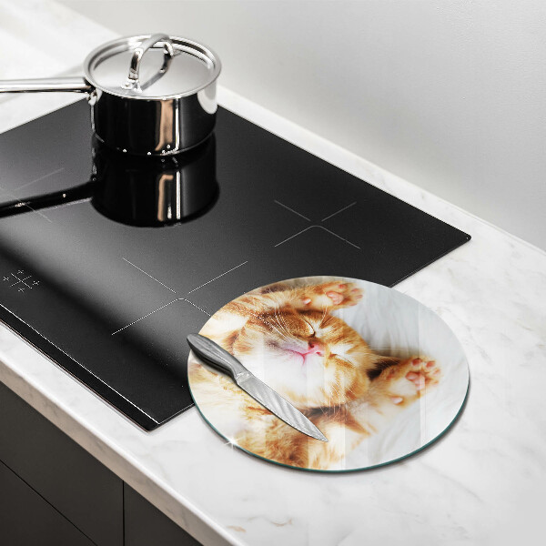 Protection plaque induction Petit chaton mignon