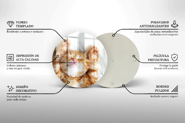 Protection plaque induction Petit chaton mignon