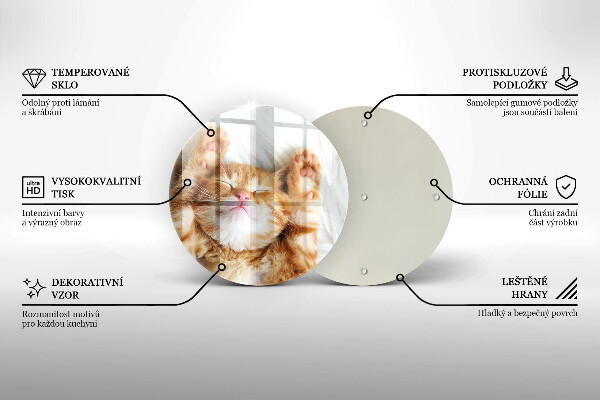 Protection plaque induction Petit chaton mignon