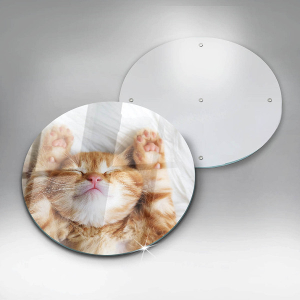 Protection plaque induction Petit chaton mignon