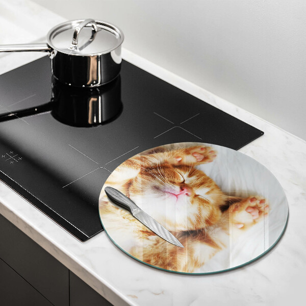 Protection plaque induction Petit chaton mignon
