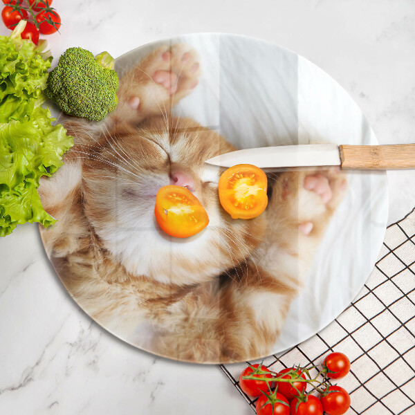 Protection plaque induction Petit chaton mignon