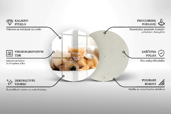 Protection plaque induction Animaux chien et chat