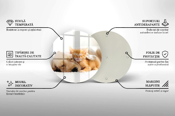 Protection plaque induction Animaux chien et chat