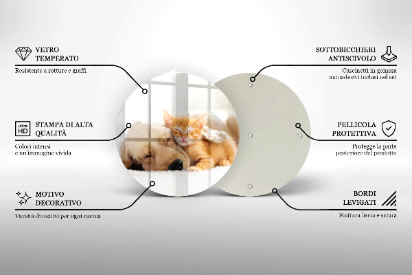 Protection plaque induction Animaux chien et chat