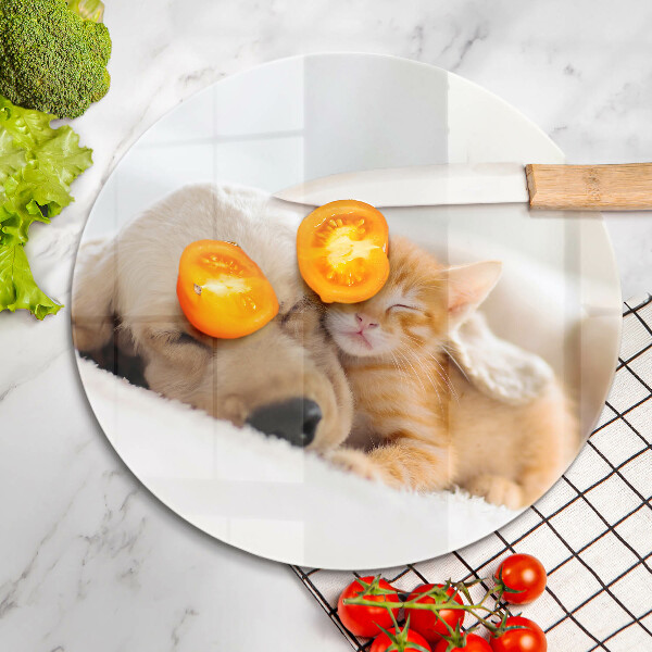 Protection plaque induction Animaux chien et chat