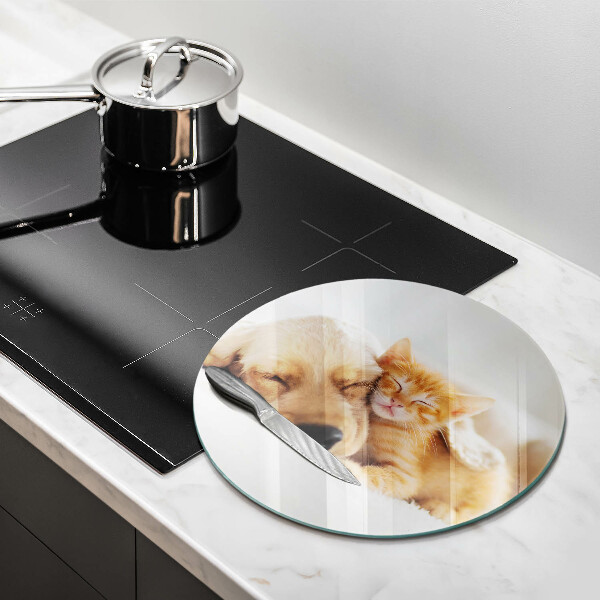 Protection plaque induction Animaux chien et chat