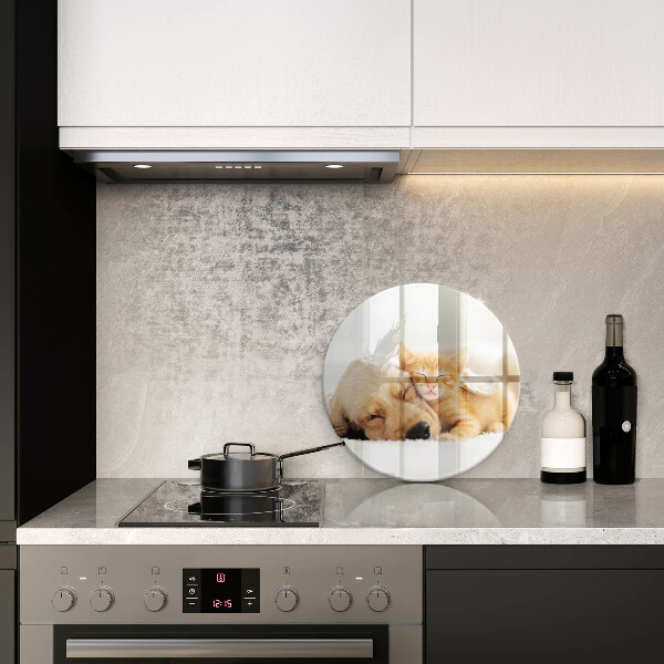 Protection plaque induction Animaux chien et chat