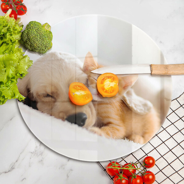 Protection plaque induction Animaux chien et chat