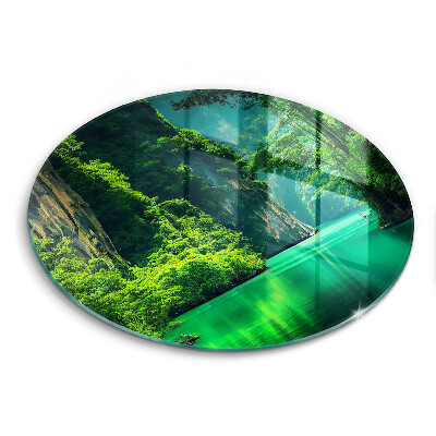 Protection plaque induction Paysage lagon