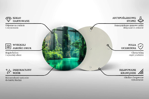 Protection plaque induction Paysage lagon