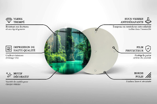 Protection plaque induction Paysage lagon