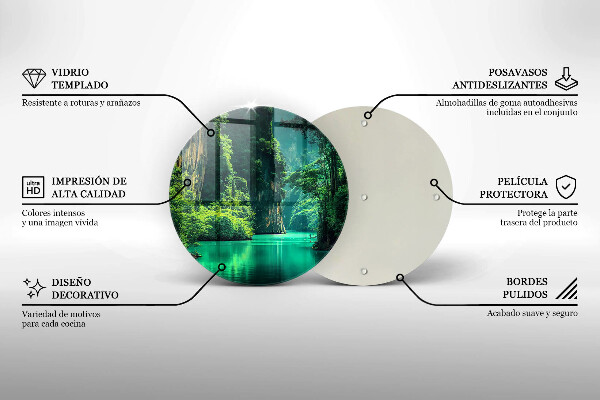 Protection plaque induction Paysage lagon