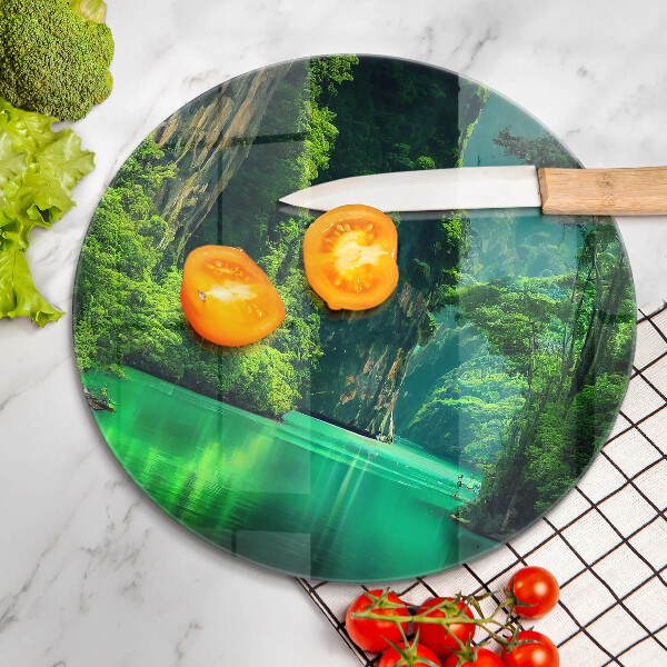 Protection plaque induction Paysage lagon