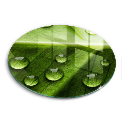 Protection plaque induction Nature rosée et feuille