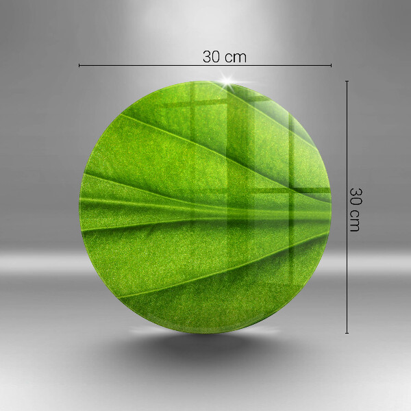 Protection plaque induction Feuille de veine naturelle