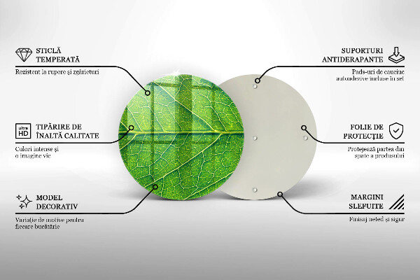 Protection plaque induction Nervures des feuilles naturelles
