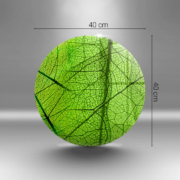 Protection plaque induction Nervures des feuilles naturelles