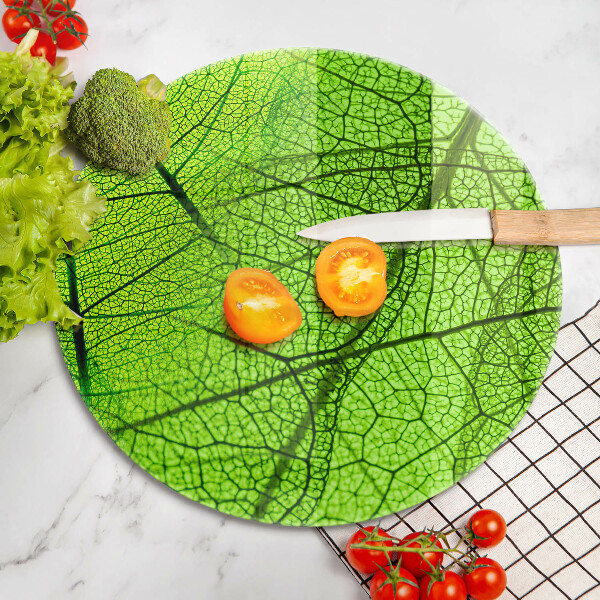 Protection plaque induction Nervures des feuilles naturelles