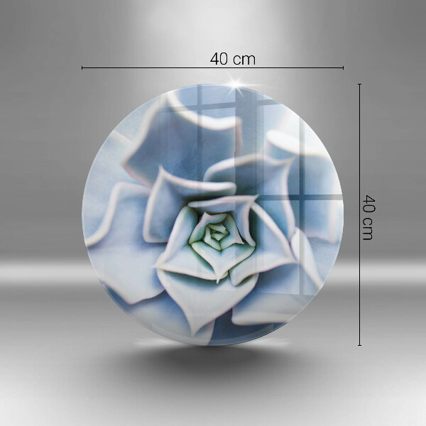 Protection plaque induction Plante à fleurs