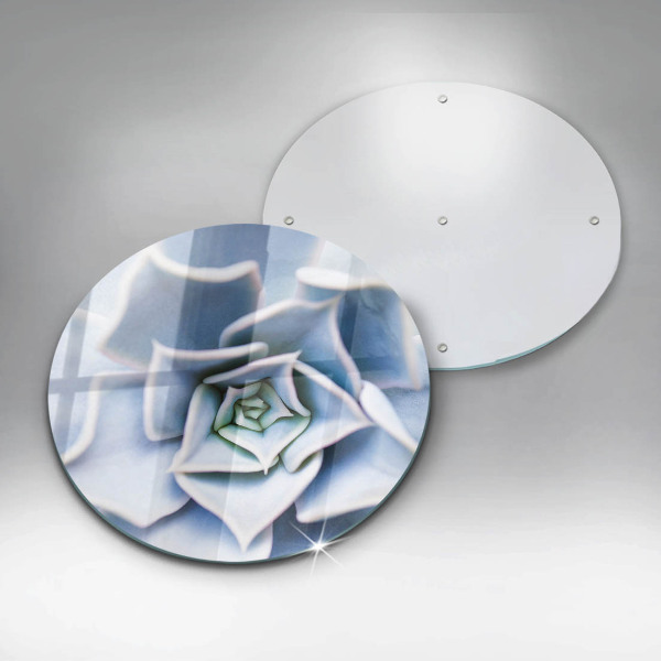 Protection plaque induction Plante à fleurs