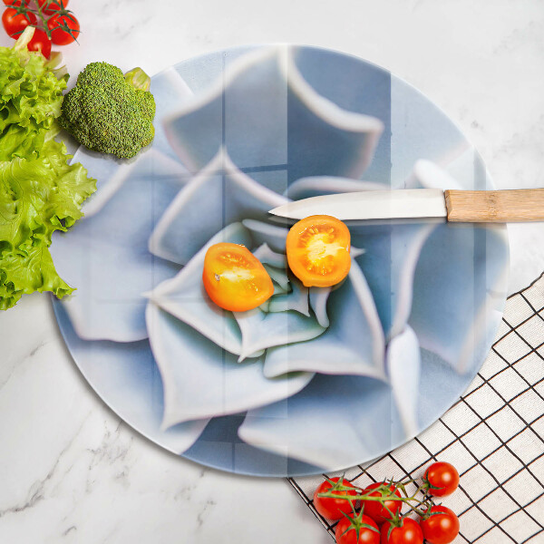 Protection plaque induction Plante à fleurs