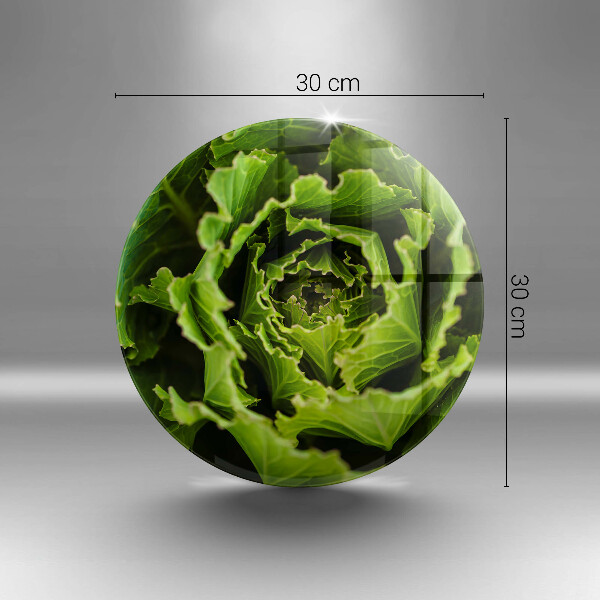 Protection plaque induction Manger des feuilles de laitue