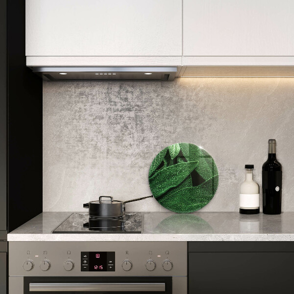 Protection plaque induction Les feuilles de la plante