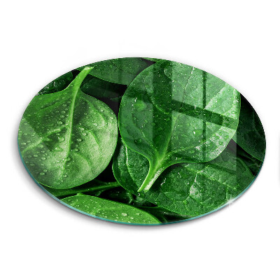 Protection plaque induction Feuilles de basilic