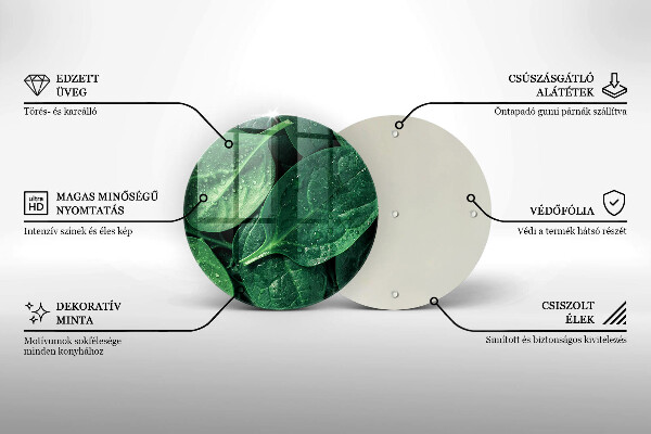 Protection plaque induction Feuilles de basilic