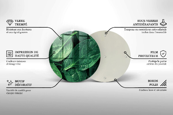 Protection plaque induction Feuilles de basilic