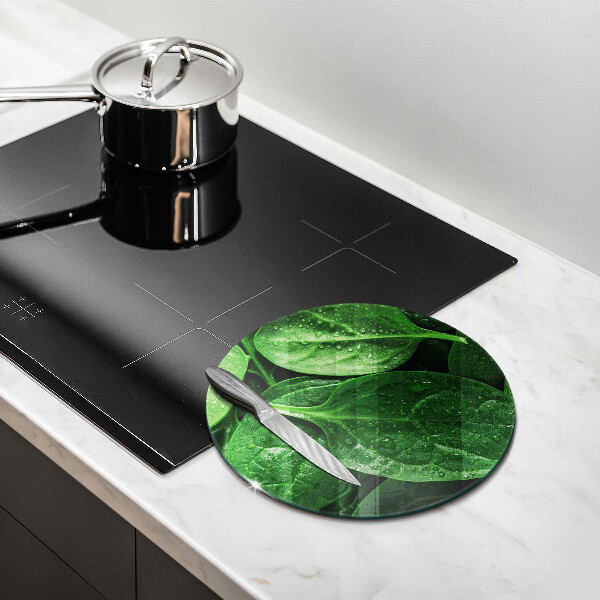 Protection plaque induction Feuilles de basilic