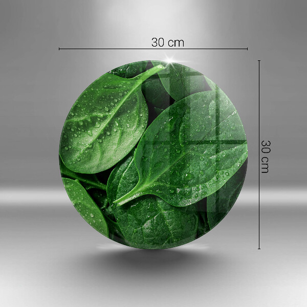 Protection plaque induction Feuilles de basilic