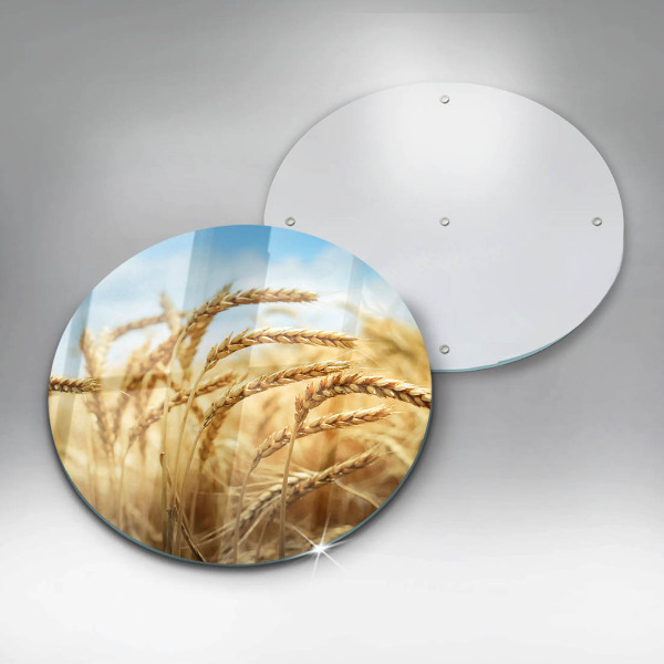 Protection plaque induction Épis de céréales dans le champ