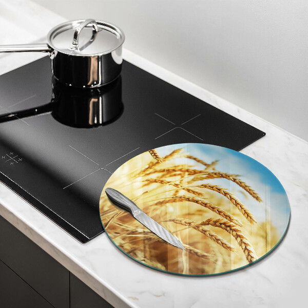 Protection plaque induction Épis de céréales dans le champ