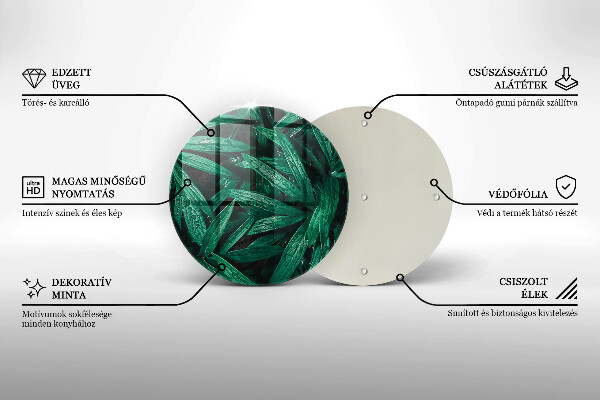 Protection plaque induction Feuilles de plantes