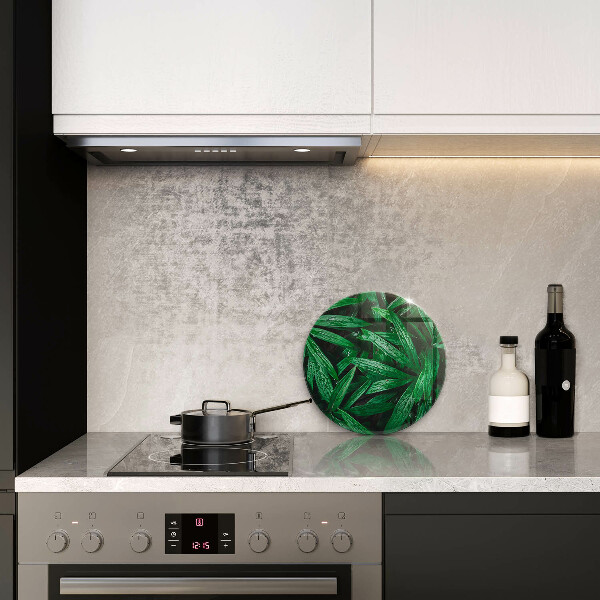 Protection plaque induction Feuilles de plantes