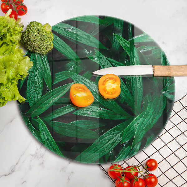 Protection plaque induction Feuilles de plantes