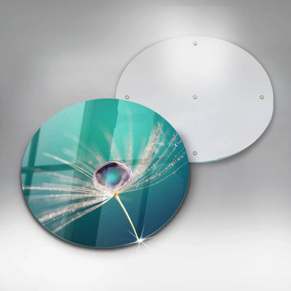 Protection plaque induction Rosée sur un pissenlit