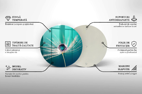 Protection plaque induction Rosée sur un pissenlit