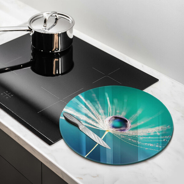 Protection plaque induction Rosée sur un pissenlit