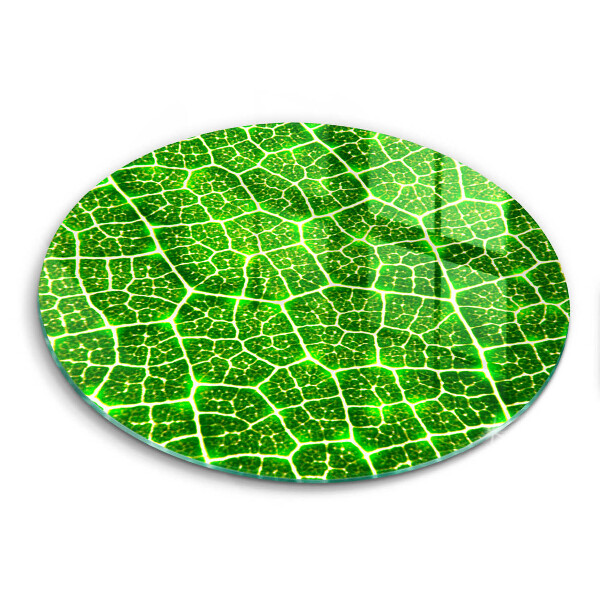 Protection plaque induction Structure des feuilles