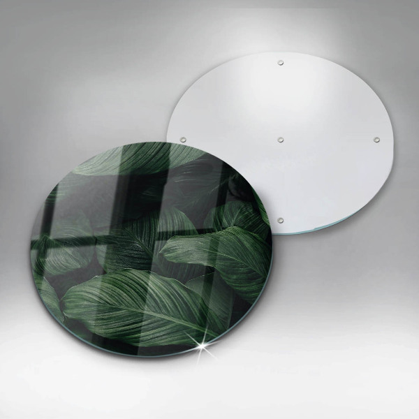 Protection plaque induction Feuilles sombres