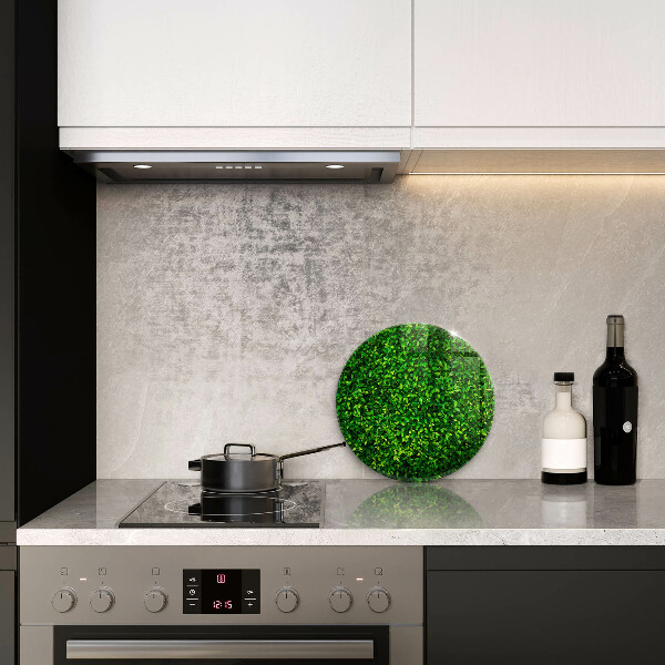 Protection plaque induction Plante à petites feuilles