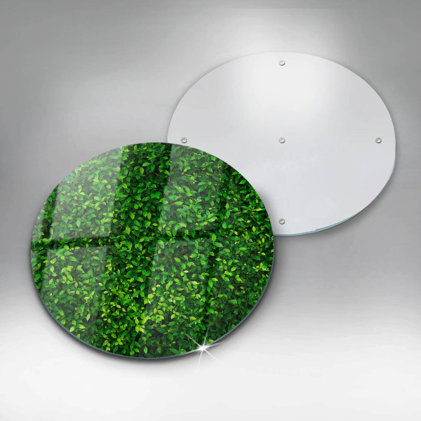 Protection plaque induction Plante à petites feuilles