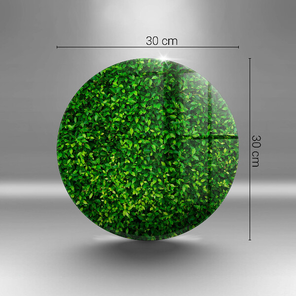 Protection plaque induction Plante à petites feuilles