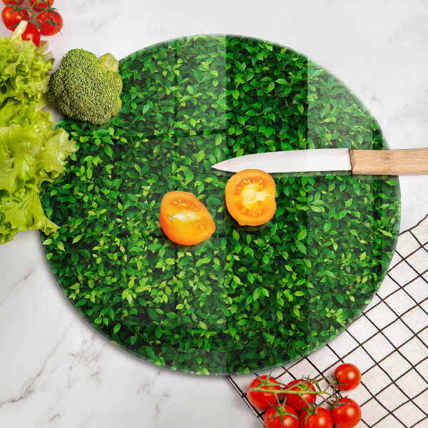 Protection plaque induction Plante à petites feuilles