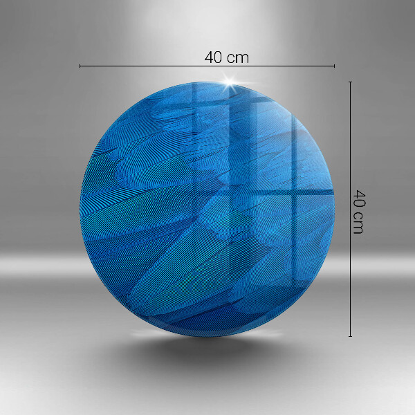Protection plaque induction Plumes d'oiseaux